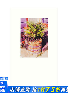 【现货】摄影师Mike Slack 就地游走1：新奥尔良 Walking In Place 1: New Orleans Perimeter Editions出版社