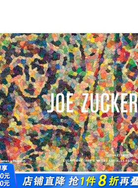 【现货】Joe Zucker 乔·扎克 英文原版 现当代艺术 艺术家专著 工艺艺术