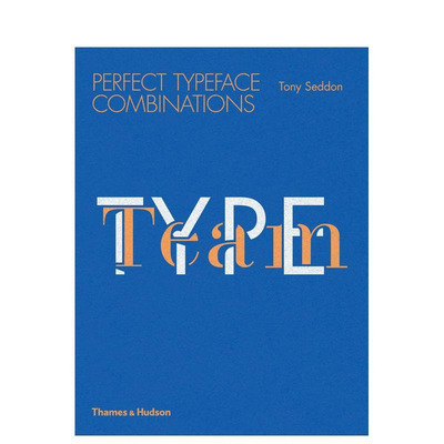 【预售】有型团队：完美字母组合 Type Team: Perfect Typeface Combinations 原版英文字体图案标志设计 正版进口书