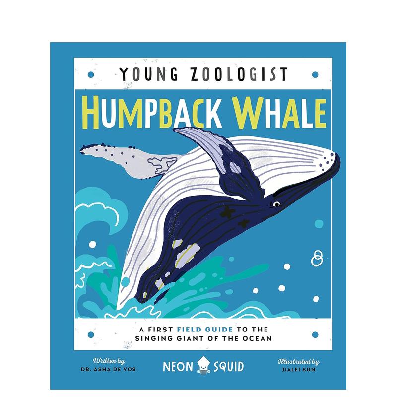 【现货】【小动物学家】座头鲸 【Young Zoologist】Humpback Whale  英文儿童插画科普绘本 英语进口童书