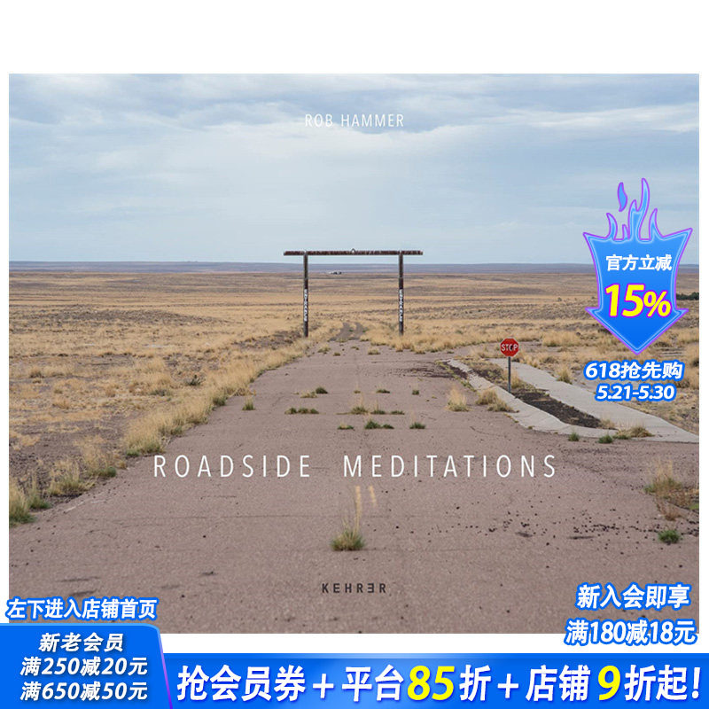 【预售】英文原版 路边沉思 Rob Hammer: Roadside Meditations 人文景观摄影 正版进口书籍艺术画册 善优图书