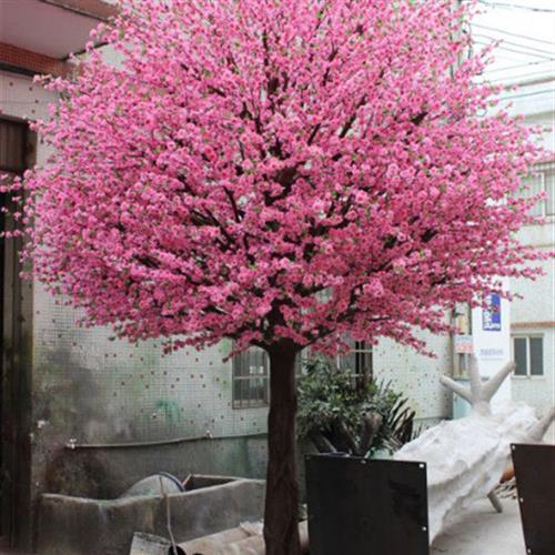 高度仿真树枝塑料树枝装饰桃花商场景区室内树木造型品