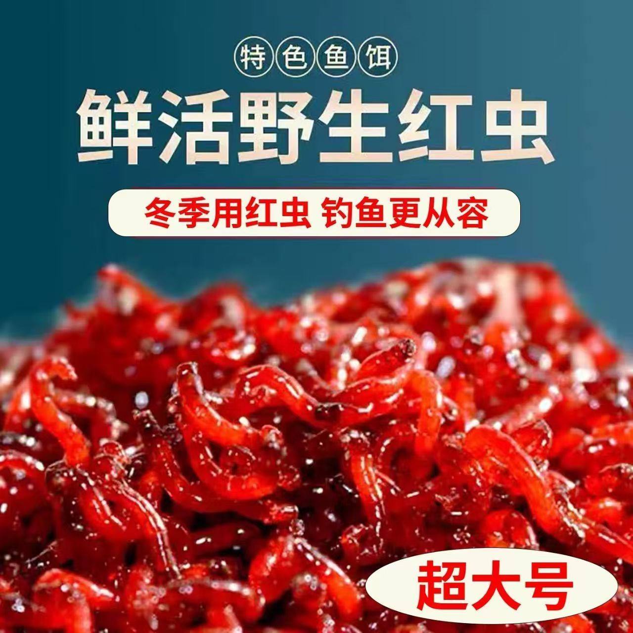 【鲜虫发货】鲜活红虫野钓新鲜活饵特大号挂钩鱼饵钓饵料红虫喂鱼