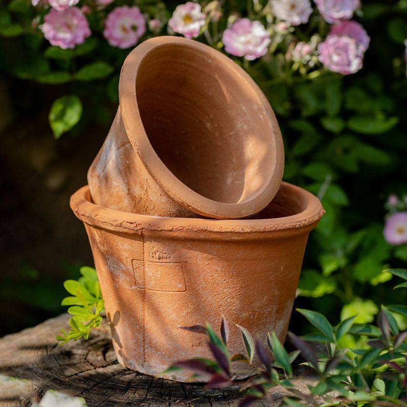 多肉花盆大口径粗陶透气陶土阳台花园庭院装饰花器泥瓦花盆红陶盆,鲜花速递/花卉仿真/绿植园艺,花盆,淘宝优惠券,粉丝福利购,淘宝优惠卷