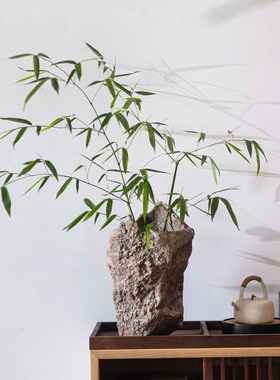 侘寂风仿石花瓶摆件干花绿植花盆
