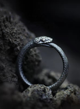 原创设计《衔尾蛇》戒指新款暗黑小众百搭简约男女情侣开口食指环