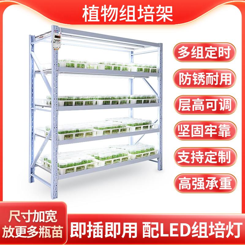 植物光照培养架实验室组培架育苗盆栽架T8led灯全光谱智控组培架