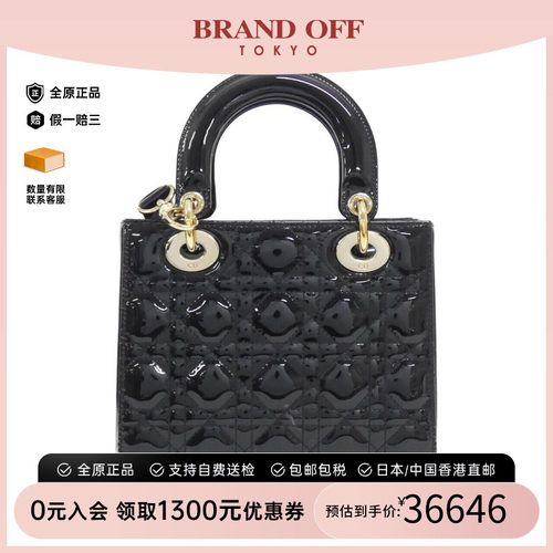 DIOR迪奥戴妃包95新斜挎女包