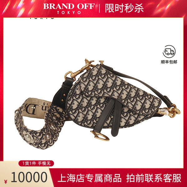 DIOR迪奥SADDLE马鞍老花斜挎包图片