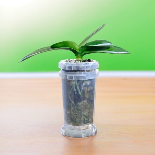 蝴蝶兰专用套盆杯装花盆