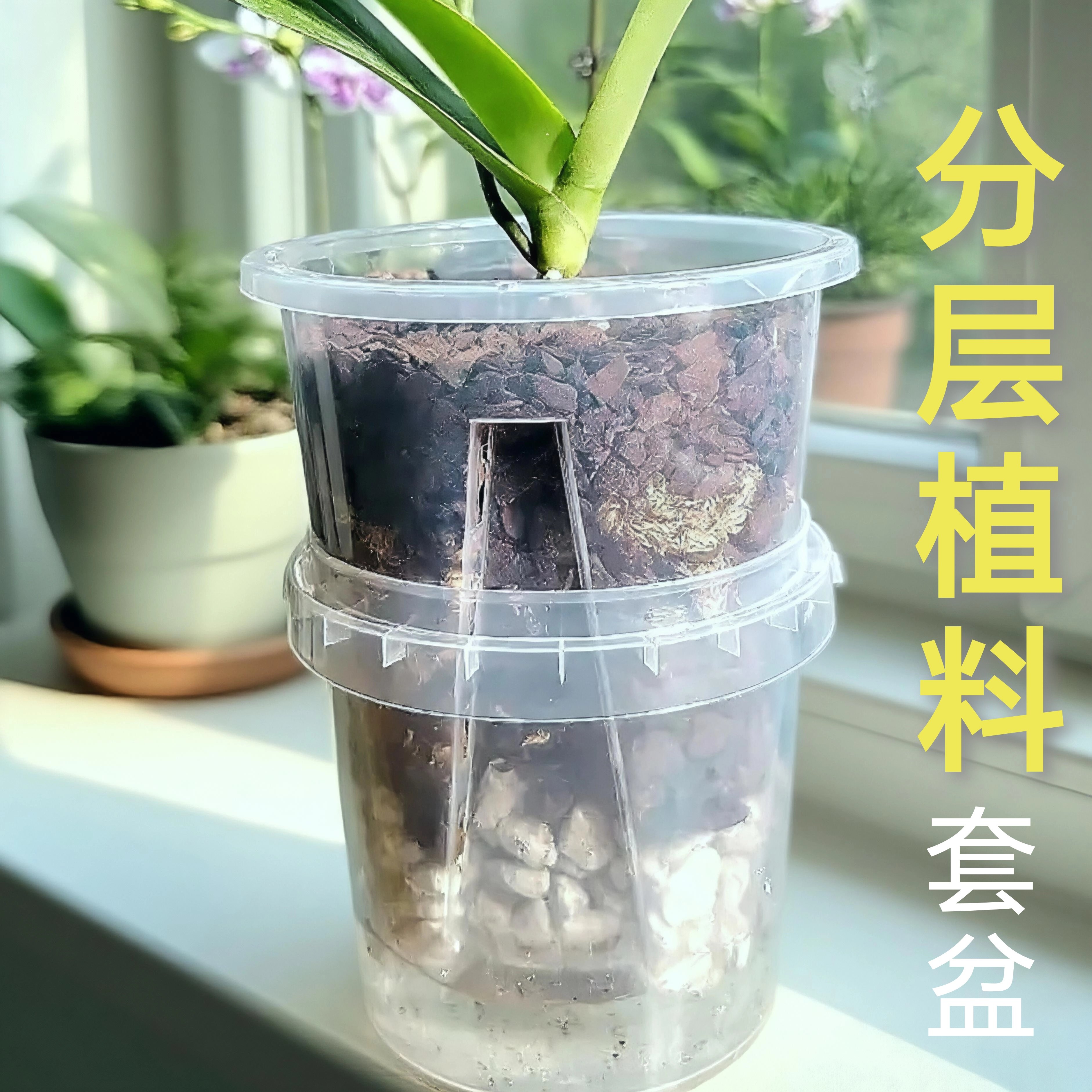 蝴蝶兰套盆带分层植料内外透气青山盆半水培浇水自由肉质根通用图片