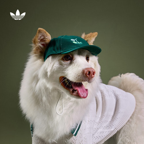 网球风日常舒适宠物帽子狗狗猫咪adidas Originals阿迪达斯三叶草
