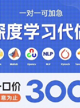 python代编程深度学习机器图像视觉接单代跑lstm代码调试编写爬虫