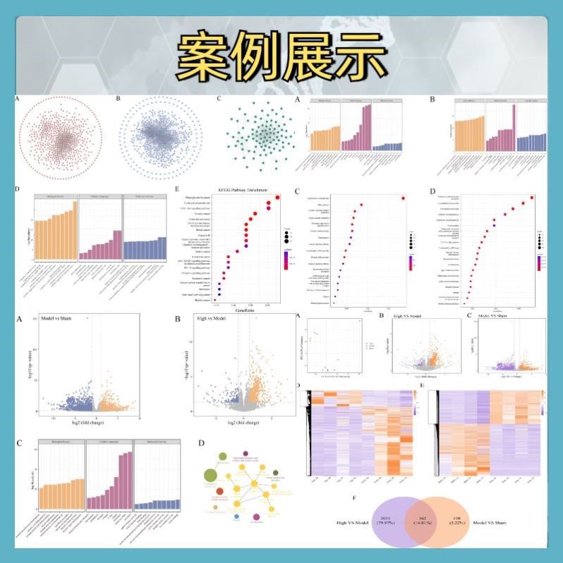 框架整理  生信分析服务  医学SCI TCGA/GEO数据库挖掘