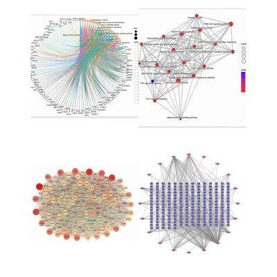 医学生信分析SCI 1-9分 数据库TCGA GEO挖掘转录组单细胞测序分析