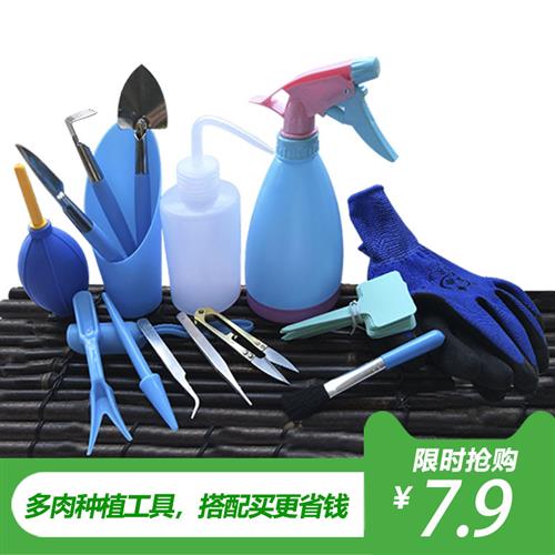 多肉种植工具套装组合种盆栽起苗器养花气吹铲子手套园艺小号喷壶