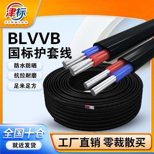 国标铝线电线6 10 16 25平方35铝芯电线2芯BLVVB双芯铝电缆线电缆