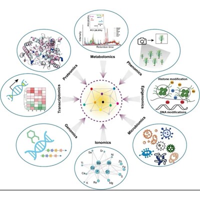 生信分析单细胞测序NHANES网络理学毒理学细胞实验sci孟德尔mr