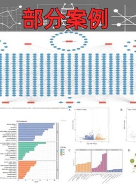 基因家族 duplication 分析生信代做支持片段重复事件