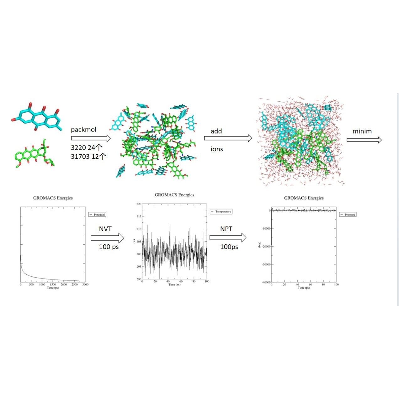 自组装:分子与分子动力学模拟计算