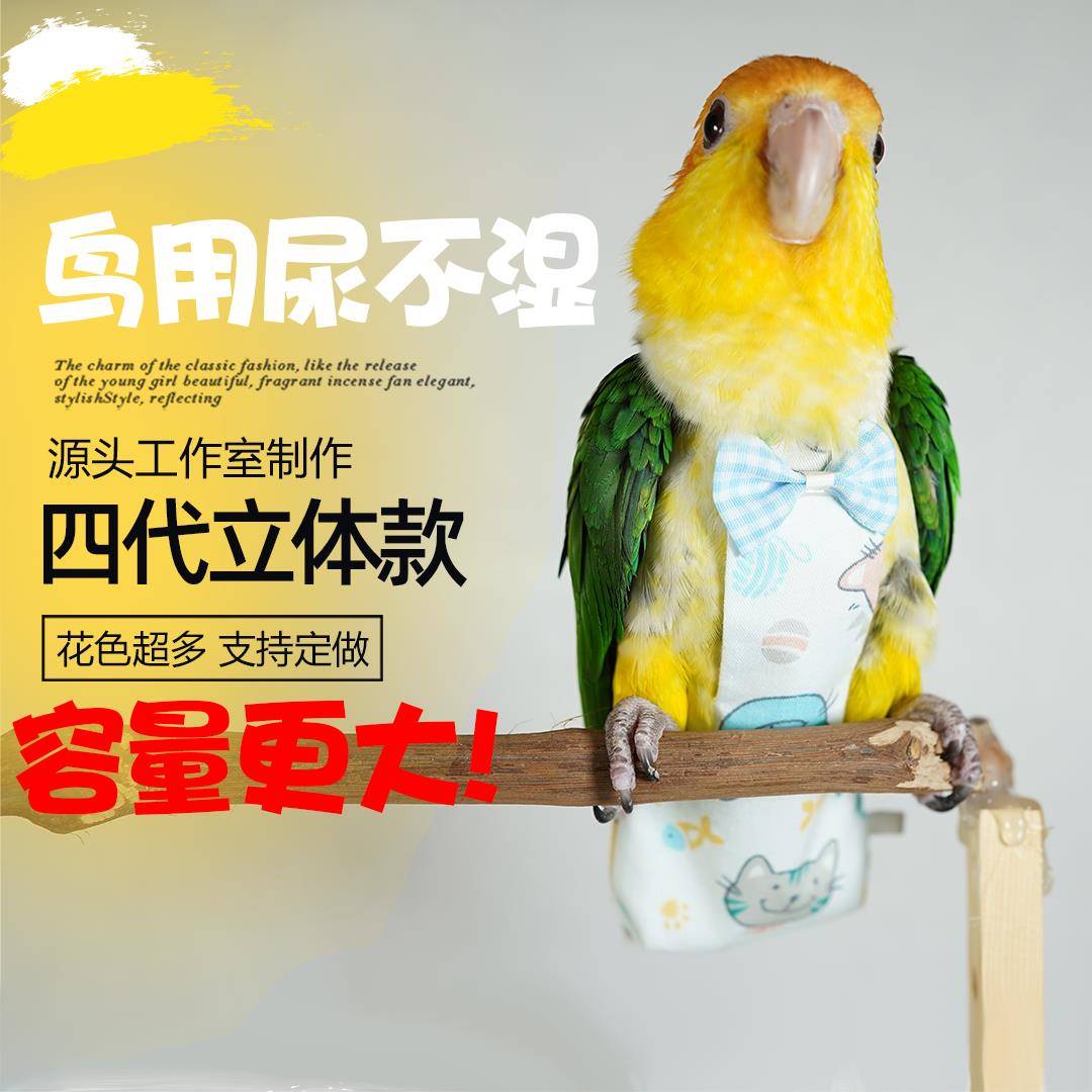 第五代鹦鹉屎兜尿不湿衣服玄凤牡丹立体可清洗调节飞行装定制包邮