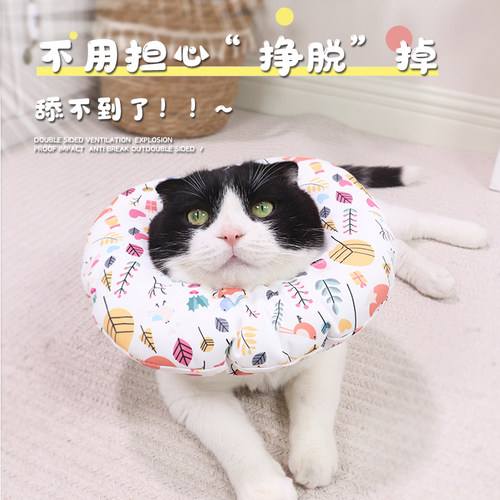 伊丽莎白圈猫防水头套调节狗狗