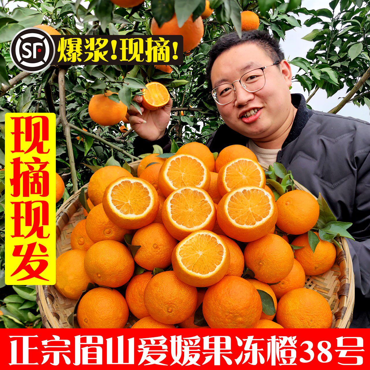 顺丰包邮眉山38号爱媛果冻橙