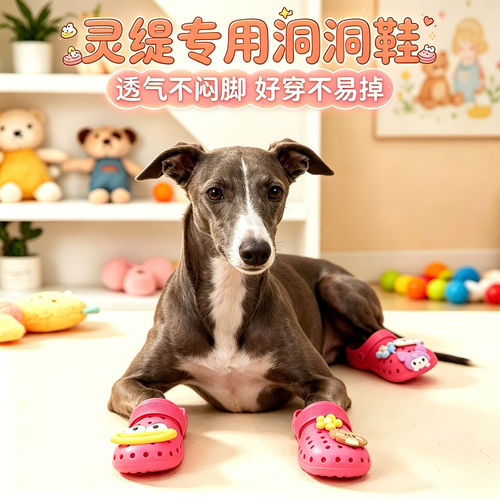 灵缇专用幼犬狗狗凉鞋小狗鞋子夏透气宠物狗鞋夏季洞洞鞋易穿不掉