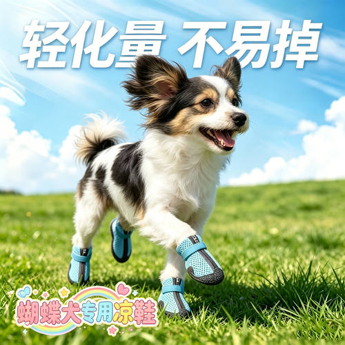 蝴蝶犬专用狗狗凉鞋小狗鞋子夏天透气宠物小型犬狗夏季不掉防脏滑