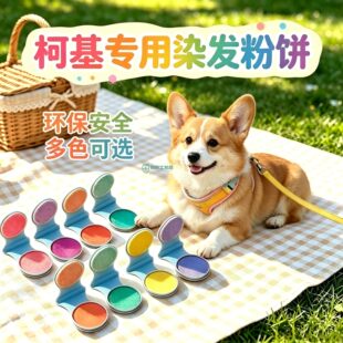 柯基专用狗狗毛发染色剂宠物染发剂小狗染毛膏美毛一次性染发粉饼