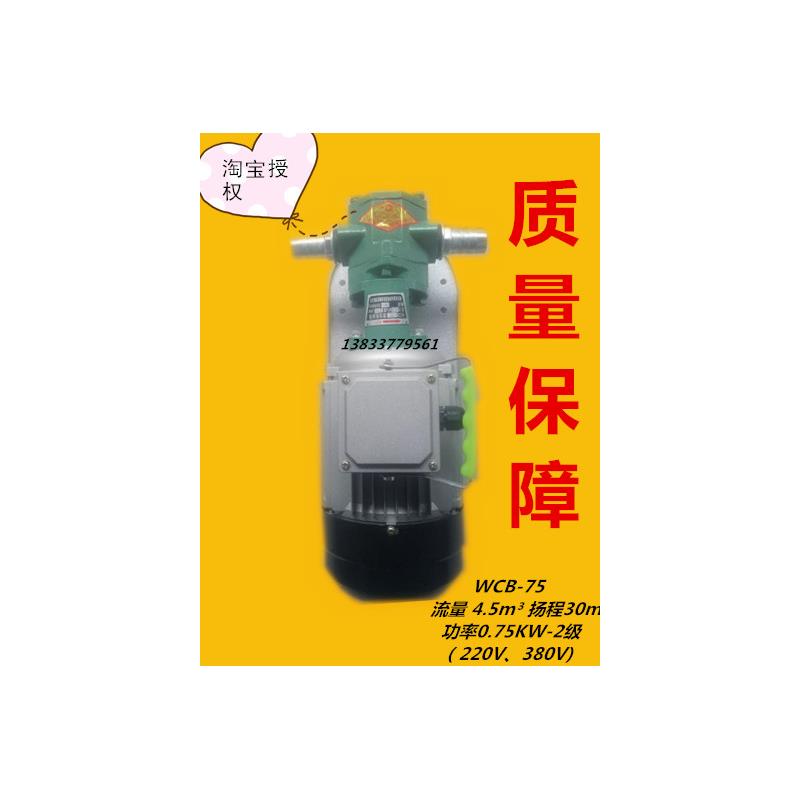 新款WCB-50/30/75机油泵220V380V手提式便携齿轮泵乳化液包邮