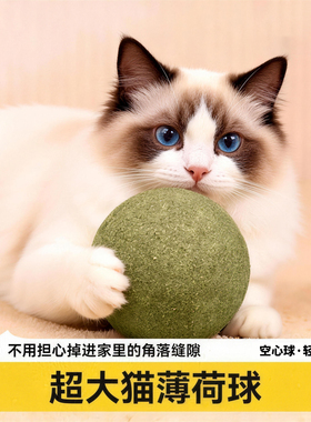 高端超大猫薄荷球超大猫玩具磨牙洁齿解闷自嗨猫零食虫瘿果球安全