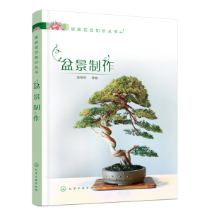 居家花艺知识丛书 园林专业和环境艺术设计参考书 盆景艺术赏析图书 饰盆景制作教程书 盆景基本知识书籍 室内植物装 盆景制作