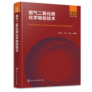 烟气二氧化碳化学吸收技术 方梦祥 王涛 张翼 等  化学工业出版社