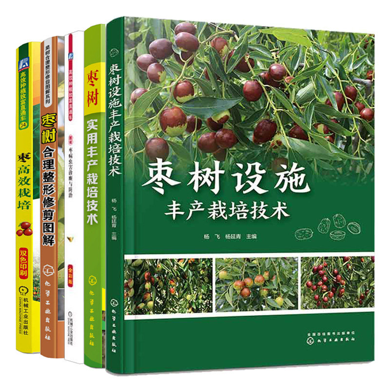 枣树设施丰产栽培技术 枣树实用丰产栽培技术 枣树合理整形修剪图解