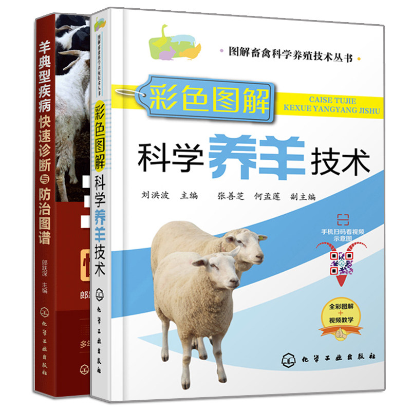 正版 彩色图解科学养羊技术+羊典型疾病快速诊断与防治图谱 2册 化学工业出版社书籍 科学养羊参考系列书