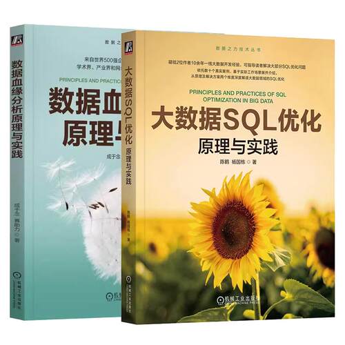【全2册】大数据SQL优化：原理与实践 陈鹤 杨国栋+数据血缘分析原理与实践 数据之力技术丛书