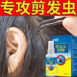 去剪发虫洗发水成人儿童除头螨卷发虫吃发虫专业祛头屑止痒喷雾剂