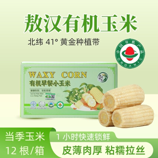 内蒙古敖汉有机甜糯白玉米新鲜玉米段孕妇宝宝粗粮主食代餐12根