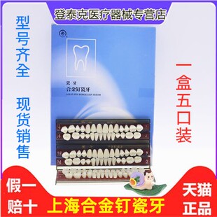 牙科材料 上海合金钉瓷牙 合成树脂牙 合金钉瓷牙 全口义齿