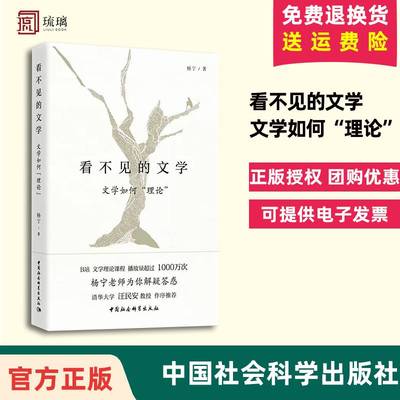 正版书籍 看不见的文学：文学如何理论 杨宁 著 哔哩哔哩B站知名up主文学理论 据B站课程《杨宁老师的文学启示课》课程讲稿改编