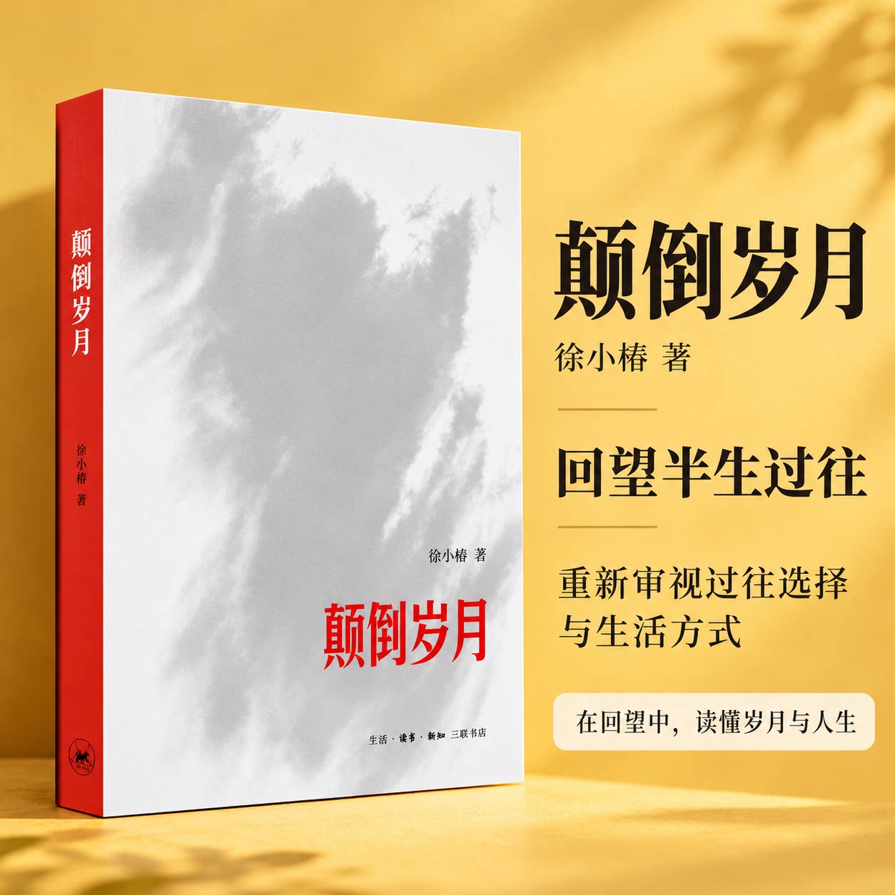 颠倒岁月徐小棣三联书店