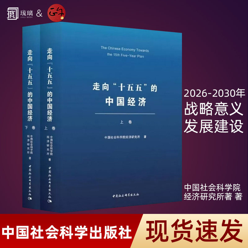 走向“十五五”的中国经济二卷