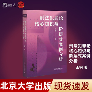 正版 刑法犯罪论核心知识与阶层式案例分析 王钢 北京大学出版社 德国案例分析方法中国刑法理论司法实务律师书籍 9787301357330