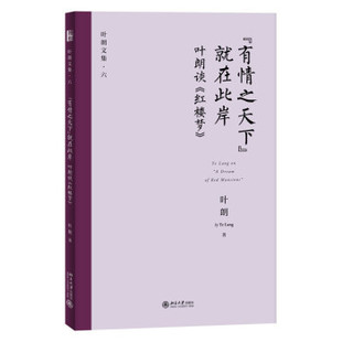 “有情之天下”就在此岸 叶朗 著 9787301323199 北京大学出版社