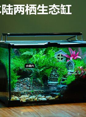苔藓微景观爬宠饲养箱生