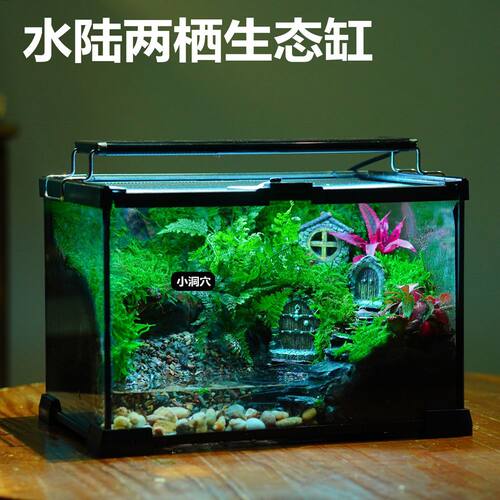 苔藓微景观爬宠饲养箱生