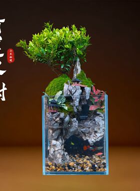 懒人造景一体鱼缸超白玻