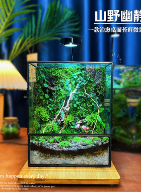 生态瓶创意桌面苔藓微景