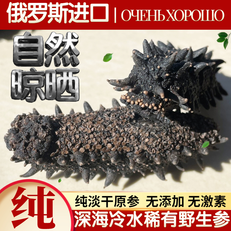 俄罗斯淡干野生海参干货100g16-18头海生刺参 非即食海参礼盒简装